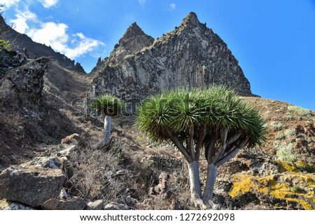 
Natural landscapes of the island of Tenerife.