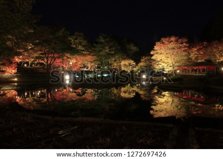 illuminated autumn leaves and pond in Shuzenji, Shizuoka, Japan