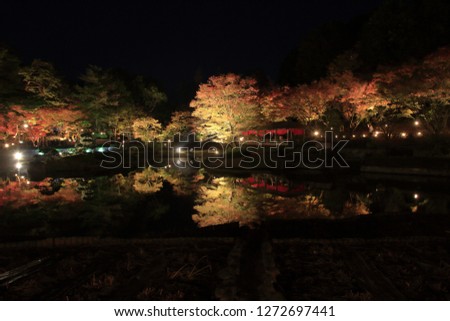 illuminated autumn leaves and pond in Shuzenji, Shizuoka, Japan