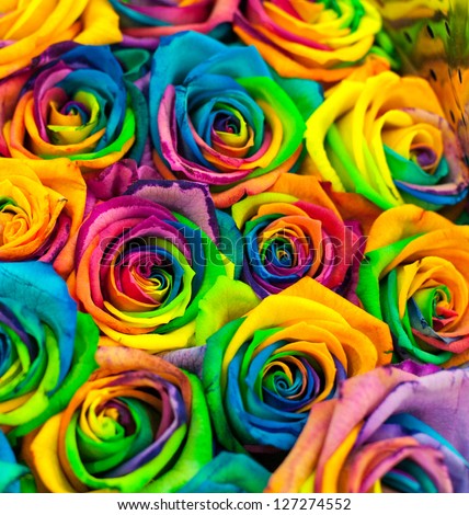 bouquet of colored roses (Rainbow rose) Royalty-Free Stock Photo #127274552