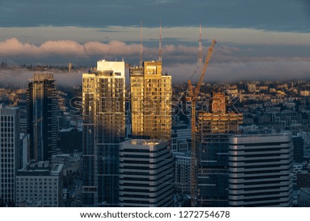 Construction cranes over Seattle, WA