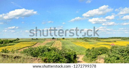 Agricultural fields in Serbia