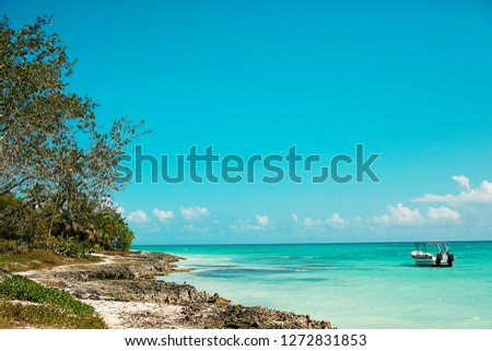 Caribbean Sea. Reefs and rocks.