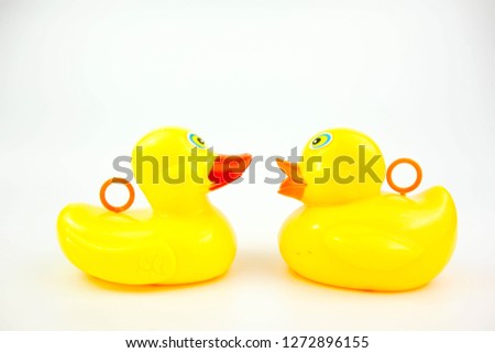 A couple of yellow rubber duck on white background. Relationship on marriage concept