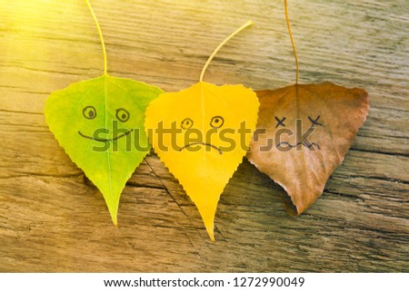 Green, yellow and brown leaves with a picture of happy and sad faces on the old wooden background with cracks, sunny