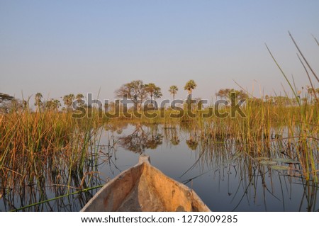 Mokoro boat trip in the Okavango Delta