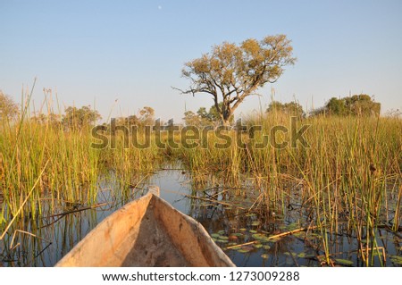 Mokoro boat trip in the Okavango Delta