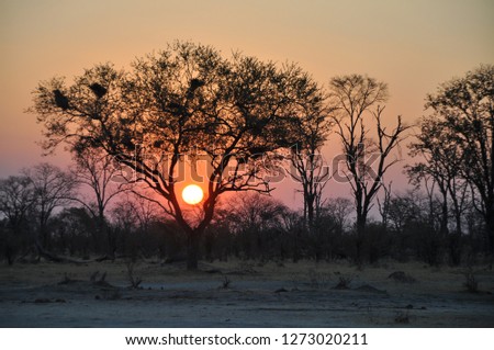  the Okavango delta at sunset, Botswana