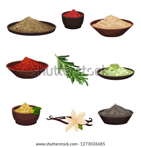 Flat vector set of different seasonings. Organic fragrant ingredients for flavoring dishes. Cooking theme Royalty-Free Stock Photo #1273026685