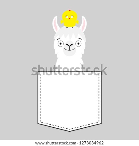 Llama alpaca face head in the pocket. Chicken. Cute cartoon animals. Kawaii character. Dash line. White and black color. T-shirt design. Baby gray background. Isolated. Flat design. 