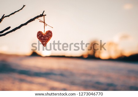 Hearts in warm winter snow - Valentine, romantic date or marriage concept photo with copy space