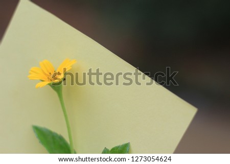 Small piece of yellow paper for notes and text with flowers