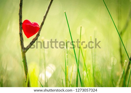 Red heart on branch with beautiful green natural background. Original wedding or valentine postcard
