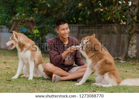 A man with him dog. Siberian husky in sunny summer beautiful day.Man and dog are looking funny and happy.