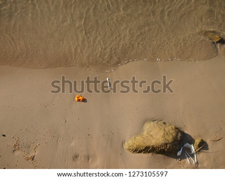 Seashore and beach with litter of leftover from food and plastic fork 