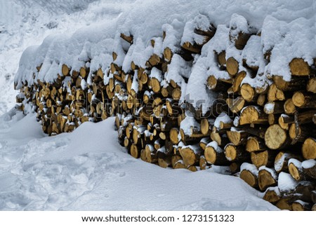 Large pile or stock of firewood for heating furnace covered with snow