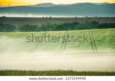 Landscape in the morning with mist and sunrise light. Nice rural summer scenery