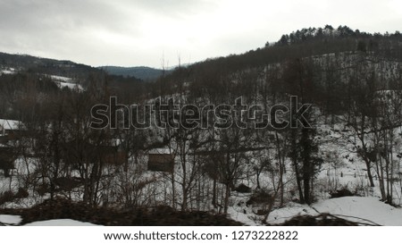 Snowy mountain trees and winter landscape