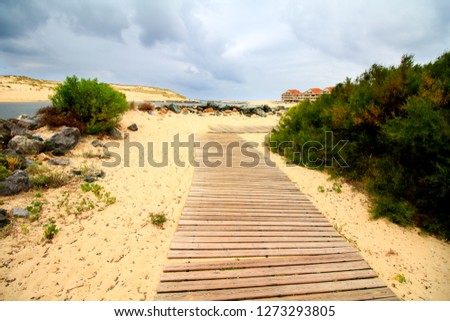 wooden jetty path in the middle of the sand dune at the south-west of France by the Atlantic coast