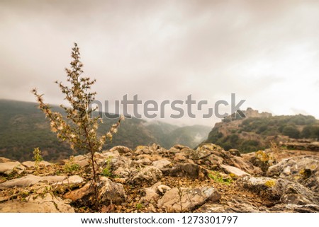 day tour in Nimrod fortress wich located on mount Hermon in northen Israel
