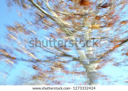 gardens in Autumn, Tribute to Monet and Ernst Hass, impressionist photograph of the Park Toledo, Spain,  photographic sweeps at low shutter speed, feeling of movement, of life,