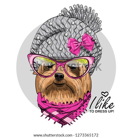 Vector dog with grey knitted hat, bow, glasses and pink scarf. Hand drawn illustration of dressed dog.