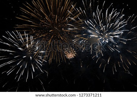 Fireworks at night 
