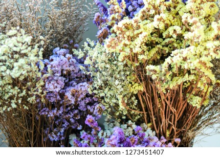 dry flower - Image