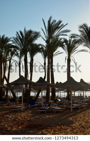 Sun loungers with umbrellas on the sandy shore near the sea in t