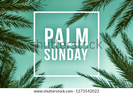 Palm Sunday Holiday Text Illustration with Palm Branches and White Square Royalty-Free Stock Photo #1273542022
