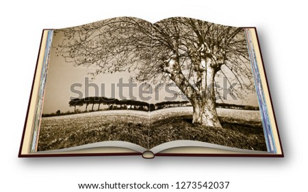 Remote tree in a tuscan wheatfield - (Tuscany - Italy) - 3D rendering of an opened photobook isolated on white background