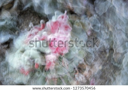 gardens in winter, Tribute to Monet and Ernst Hass, impressionist photograph of the Park Toledo, Spain,  photographic sweeps at low shutter speed, feeling of movement, of life,