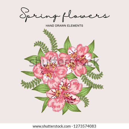 Spring flowers composition. Hand drawn alstroemeria flowers and leaves. Vintage vector botanical illustration.