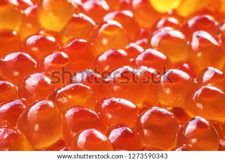 Red caviar close-up. Food background. Macro picture.