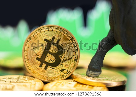 Bull market in Bitcoin crypto currency. Bullish price trend and rise in value