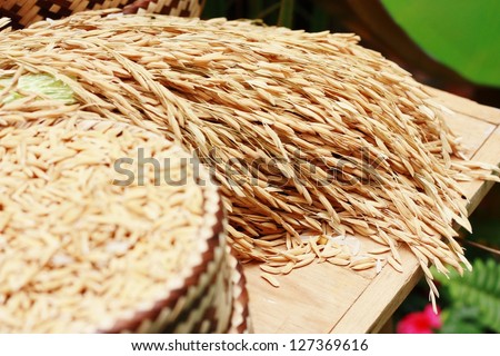 Thai jasmine rice in bamboo