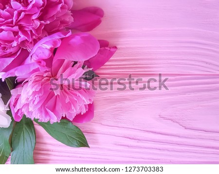 peony flower on wooden background frame