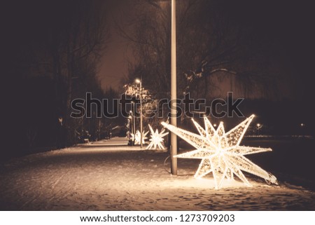 Christmas decorations in the form of a star from the garlands in the night winter snow-covered park