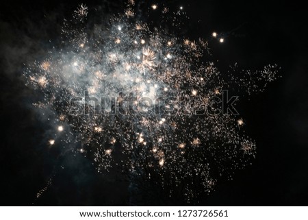 Yellow and white fireworks in the night sky