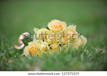 bouquet of roses laying on green grass in park