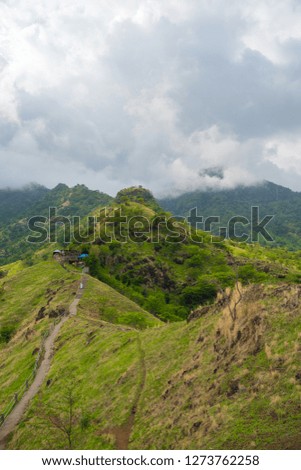 Lush green in the mountains and grassland of Bali with nearby hindu temple