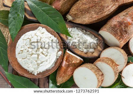 Raw yucca starch on the wooden table - Manihot esculenta.. Royalty-Free Stock Photo #1273762591