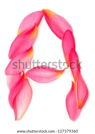 letter A made from beauty flower petals on white