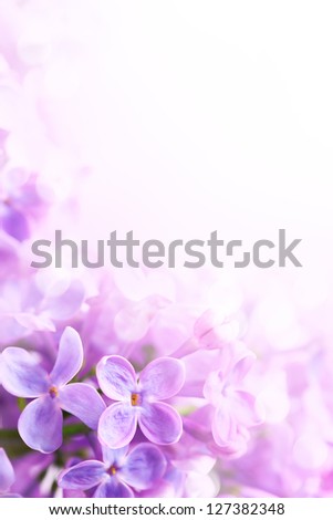 Spring flowers abstract background