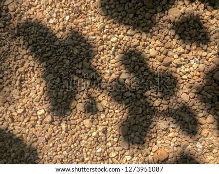 The stone floor, the light and the shadow makes the image in the imagination.