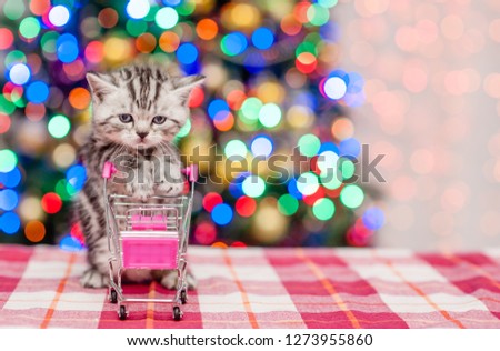 Baby kitten holding empty shopping trolley with Christmas tree on background. Empty space for text