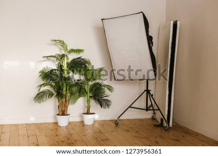 In a bright room, potted potted plants and photo studio equipment, flags stand near the wall.