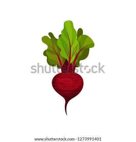 Icon of ripe beetroot with big green leaves. Organic and healthy vegetable. Natural farm food. Fresh ingredient for vegetarian dish. Royalty-Free Stock Photo #1273991401