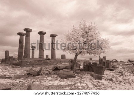 ancient tomb apollon temple with snowy tree infrared photo ancient greece greek architecture ruins