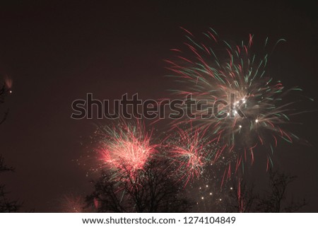 Fireworks in a night sky